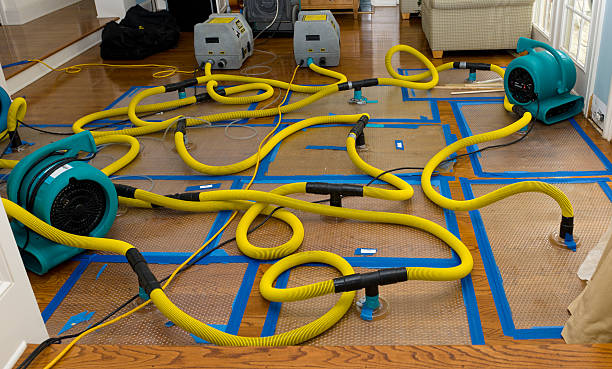 Professional Sewage Cleanup technician working in Kalamazoo, MI